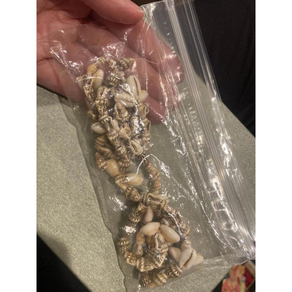 Vintage Natural Shell Necklace – For Repair or Crafting